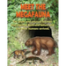 Meet the Megafauna 2