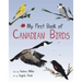 My First Book of Canadian Birds