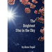 The Brightest Star in the Sky
