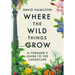 Where the Wild Things Grow: A Forager's Guide to the Landscape