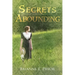 Secrets Abounding: The Unforgotten Past: The Continuing Story