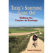 There's Something Going On!: Walking the Camino de Santiago