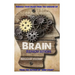 Brain Renovation