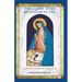 The Glory to be Revealed in You: A Spiritual Companion to Pregnancy