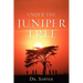 Under the Juniper Tree