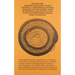 Navigation: A Publication for a Place Without a Historical Center, Created Continuously Anew in Meetings and Events That Occur in Empowered Spaces, Si