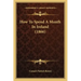 How To Spend A Month In Ireland (1866)