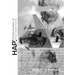 Hap: Understudies of Thomas Wyatt's Petrarch