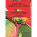 Poinsettia.Chistmas Flower: Complete guide for its choice, location and care