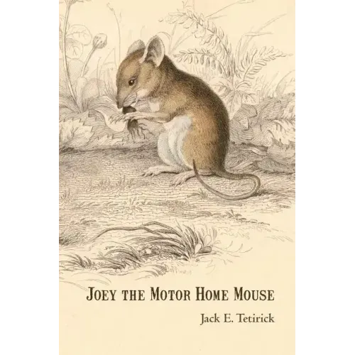 Joey the Motor Home Mouse