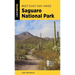 Best Easy Day Hikes Saguaro National Park