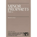 Minor Prophets: Part 2
