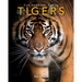 Tigers: Amazing Pictures & Fun Facts on Animals in Nature
