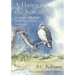 A Haven in the Sun: Five Stories of Bird Life and Its Future on the Texas Coast