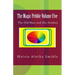 The Magic Pebble Volume Five: The Old Man and His Donkey