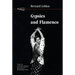 Gypsies and Flamenco: The Emergence of the Art of Flamenco in Andalusia, Interface Collection Volume 6