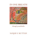 In One Breath: Through Pseudohaiku