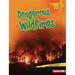 Dangerous Wildfires