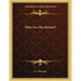 Who Are The Elohim?