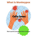 What Is Monkeypox: How to protect yourself and what to look out for. Guidelines for safety