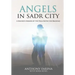Angels in Sadr City: A Soldier's Memoir of the Final Battle for Baghdad