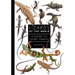 Lizards of the World: A Guide to Every Family