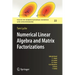 Numerical Linear Algebra and Matrix Factorizations