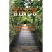 Tishomingo Bingo: The Life and Times of Theo Son of Mann