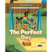 The Perfect Day