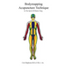 Bodymapping Acupuncture Technique: In the Spirit of Master Tung