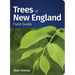 Trees of New England Field Guide