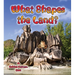 What Shapes the Land?