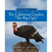 The California Condor, "The Big Ugly"