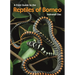 A Field Guide to the Reptiles of Borneo