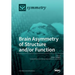 Brain Asymmetry of Structure and/or Function