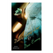 Daddy-Long-Legs & Dear Enemy: Romance Novels