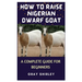 How to Raise Nigerian Dwarf Goat: A Complete Guide for Beginners