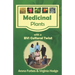 Medicinal Plants with a BVI Cultural Twist