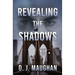 Revealing the Shadows: A thrilling detective story