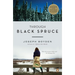 Through Black Spruce