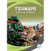 Tsunami Survival Stories