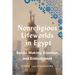 Nonreligious Lifeworlds in Egypt: Sense-Making, Emotion, and Embodiment