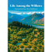 Life Among the Willows, Postcards from My Childhood