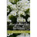 Maya Majiks: Oracle Cards