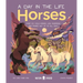 Horses (a Day in the Life): What Do Wild Horses Like Mustangs and Ponies Get Up to All Day?