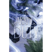 In Darkness & Duty: Prophecy of Sorin Trilogy Book Two