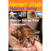 Hermit Crab Habitat Setup: Hermit Crab care and Habitat Set-up