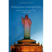 Shifting Stones, Shaping the Past: Sculpture from the Buddhist Stupas of Andhra Pradesh