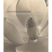 Imogen Cunningham: A Retrospective
