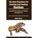 The Best Practices For Housing And Feeding Geckos: Essential Care Tips For A Healthy And Happy Pet